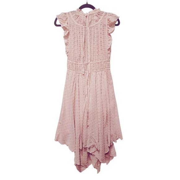 Ulla Johnson Jules Assymetric Midi Dress  Dusty Rose Swiss Dot Size 2 - Picture 3 of 8